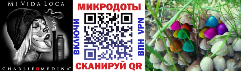 Галлюциногенные грибы Psilocybine cubensis  OMG как войти  Владикавказ 