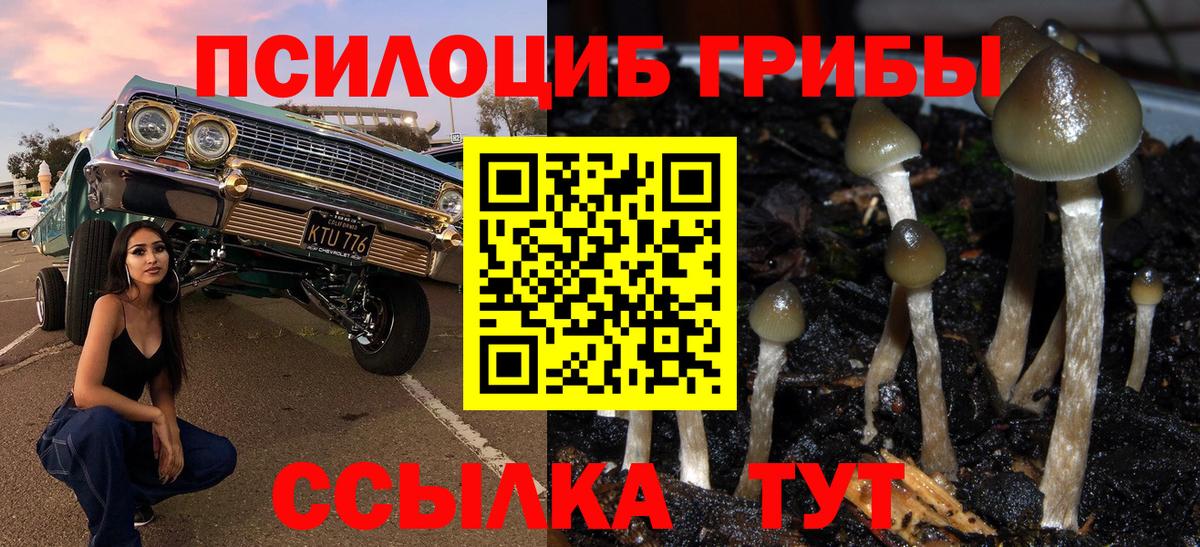 Псилоцибиновые грибы прущие грибы  Вход с VPN  Псилоцибиновые грибы ЛСД  Владикавказ 